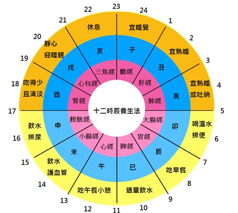 十二時辰養生對照表|跟著時辰去養生 十二經絡養生時間表｜中醫精髓｜該 